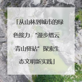 从山林到城市的绿色接力 “漫步缙云·青山驿站”探索生态文明新实践