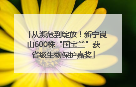 从濒危到绽放！新宁崀山600株“国宝兰”获省级生物保护嘉奖