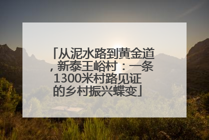 从泥水路到黄金道，新泰王峪村：一条1300米村路见证的乡村振兴蝶变