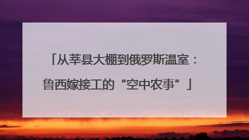 从莘县大棚到俄罗斯温室：鲁西嫁接工的“空中农事”