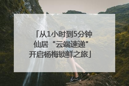 从1小时到5分钟 仙居“云端速递”开启杨梅锁鲜之旅