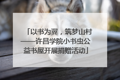 以书为翼，筑梦山村——许昌学院小书虫公益书屋开展捐赠活动