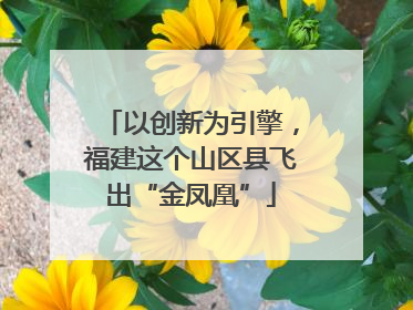 以创新为引擎，福建这个山区县飞出“金凤凰”