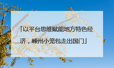 以平台思维赋能地方特色经济，嵊州小笼包走出国门