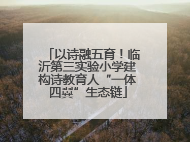 以诗融五育！临沂第三实验小学建构诗教育人“一体四翼”生态链
