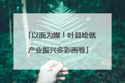 以面为媒！叶县绘就产业振兴多彩画卷