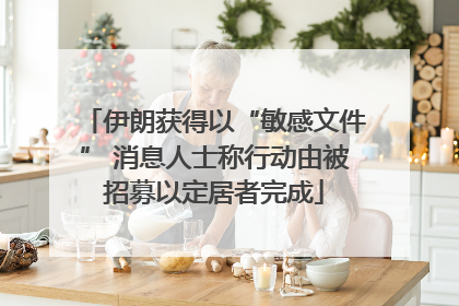 伊朗获得以“敏感文件” 消息人士称行动由被招募以定居者完成