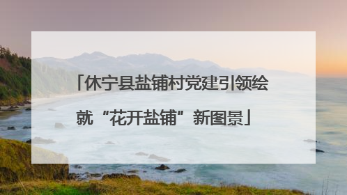 休宁县盐铺村党建引领绘就“花开盐铺”新图景