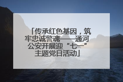 传承红色基因，筑牢忠诚警魂——通河公安开展迎“七一”主题党日活动