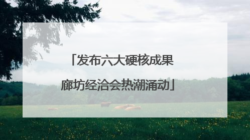 发布六大硬核成果 廊坊经洽会热潮涌动