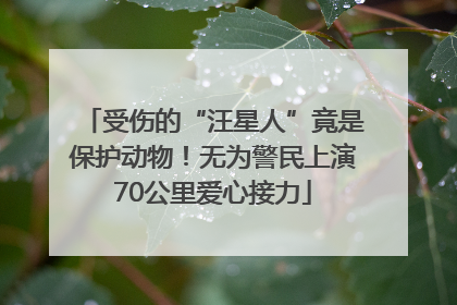 受伤的“汪星人”竟是保护动物！无为警民上演70公里爱心接力
