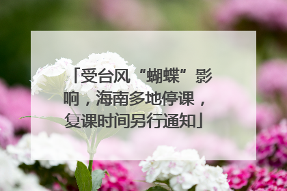 受台风“蝴蝶”影响，海南多地停课，复课时间另行通知