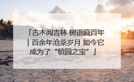 古木阅吉林 树语藏百年｜百余年沧桑岁月 如今它成为了“镇园之宝”