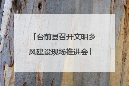 台前县召开文明乡风建设现场推进会