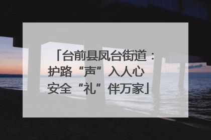 台前县凤台街道：护路“声”入人心 安全“礼”伴万家