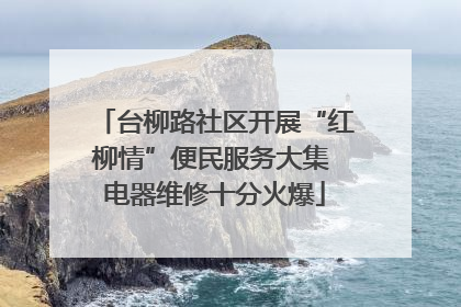 台柳路社区开展“红柳情”便民服务大集 电器维修十分火爆