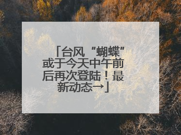 台风“蝴蝶”或于今天中午前后再次登陆！最新动态→
