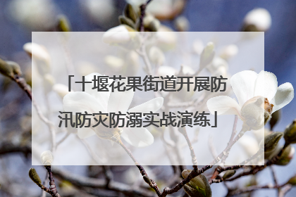 十堰花果街道开展防汛防灾防溺实战演练