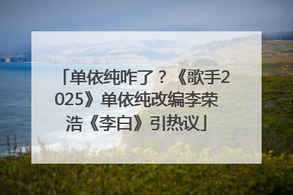 单依纯咋了？《歌手2025》单依纯改编李荣浩《李白》引热议
