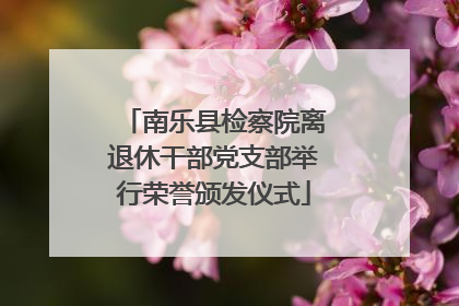 南乐县检察院离退休干部党支部举行荣誉颁发仪式
