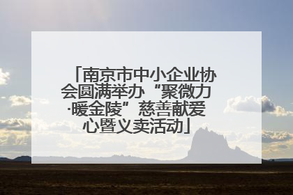 南京市中小企业协会圆满举办“聚微力·暖金陵”慈善献爱心暨义卖活动