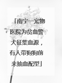 南宁一宠物医院为贫血警犬征集血源，有人带狗狗前来抽血配型