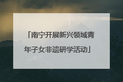 南宁开展新兴领域青年子女非遗研学活动