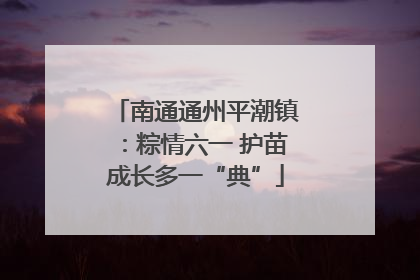 南通通州平潮镇：粽情六一 护苗成长多一“典”