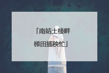 南靖土楼畔 梯田插秧忙