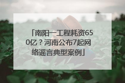 南阳一工程耗资650亿？河南公布7起网络谣言典型案例