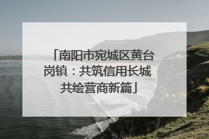 南阳市宛城区黄台岗镇：共筑信用长城 共绘营商新篇