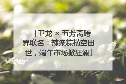 卫龙 × 五芳斋跨界联名：辣条粽横空出世，端午市场掀狂澜