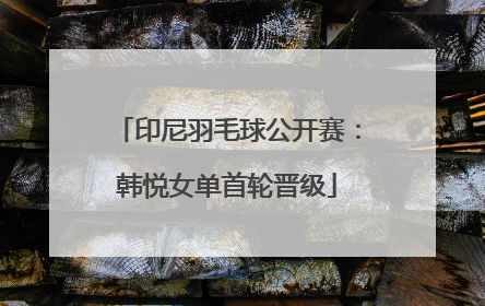 印尼羽毛球公开赛：韩悦女单首轮晋级