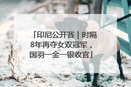 印尼公开赛｜时隔8年再夺女双冠军，国羽一金一银收官