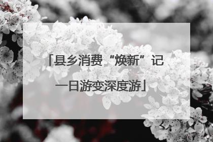 县乡消费“焕新”记 一日游变深度游