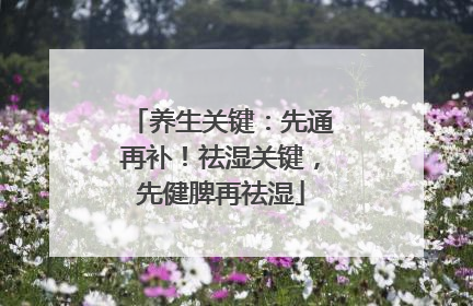养生关键：先通再补！祛湿关键，先健脾再祛湿