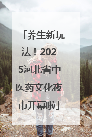 养生新玩法！2025河北省中医药文化夜市开幕啦