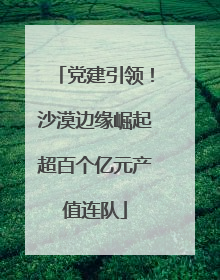 党建引领！沙漠边缘崛起超百个亿元产值连队