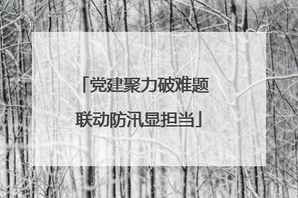 党建聚力破难题 联动防汛显担当