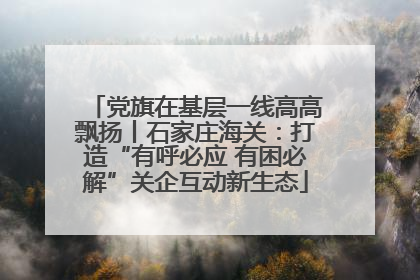 党旗在基层一线高高飘扬丨石家庄海关：打造“有呼必应 有困必解”关企互动新生态