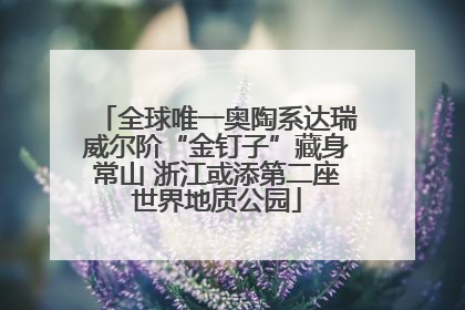 全球唯一奥陶系达瑞威尔阶“金钉子”藏身常山 浙江或添第二座世界地质公园
