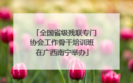 全国省级残联专门协会工作骨干培训班在广西南宁举办