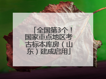 全国第3个！国家重点地区考古标本库房（山东）建成启用