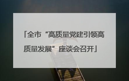全市“高质量党建引领高质量发展”座谈会召开