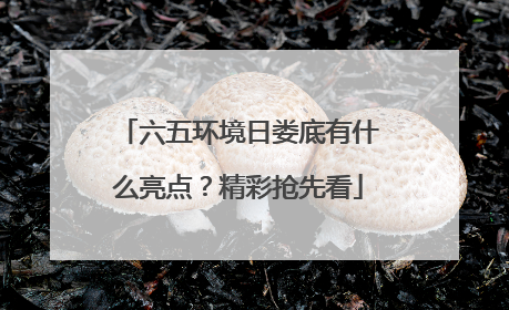 六五环境日娄底有什么亮点？精彩抢先看
