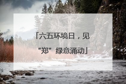 六五环境日，见“郑”绿意涌动
