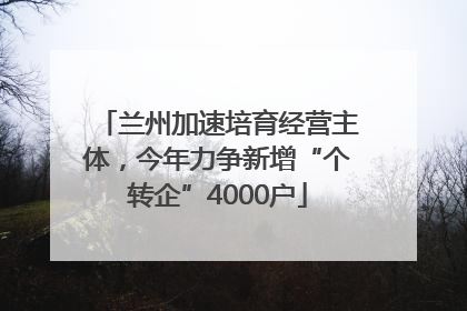 兰州加速培育经营主体，今年力争新增“个转企”4000户