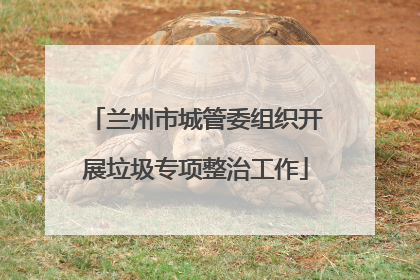 兰州市城管委组织开展垃圾专项整治工作