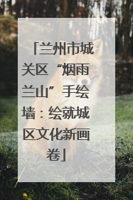 兰州市城关区“烟雨兰山”手绘墙：绘就城区文化新画卷