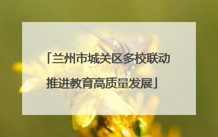 兰州市城关区多校联动推进教育高质量发展